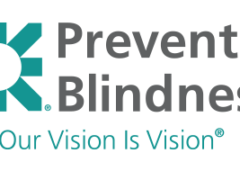  Prevent Blindness recognizes Rudolph Libbe Group